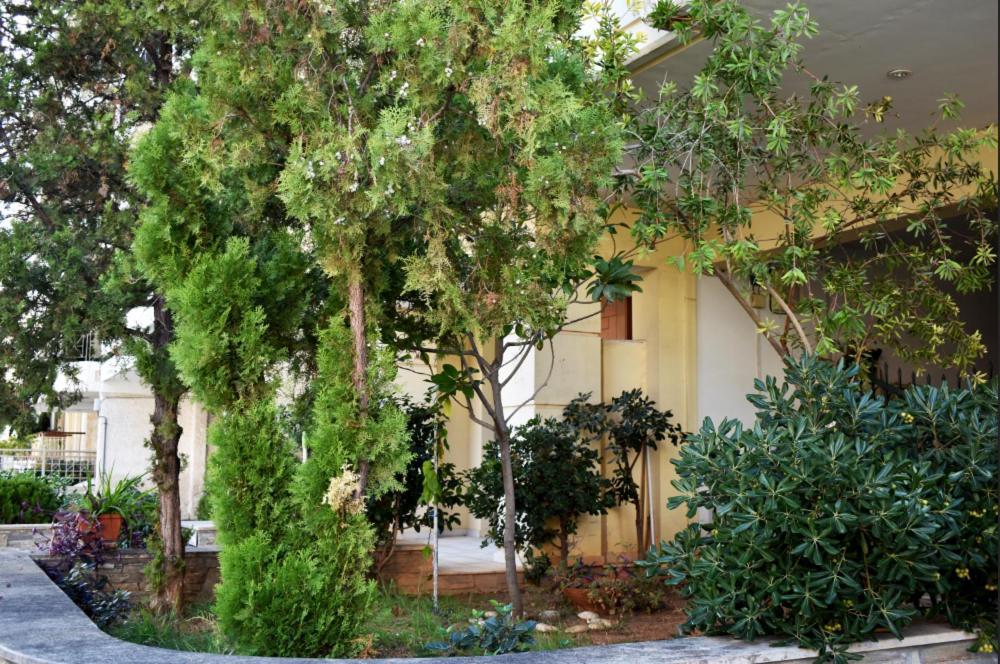 Cozy 2bed appartment Ateny Zewnętrze zdjęcie